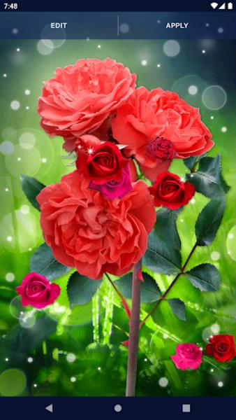 Red Rose Live Wallpaper 螢幕截圖 0