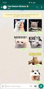 Cat Memes Stickers WASticker স্ক্রিনশট 1