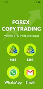 Forex copy trading Forex Auto 螢幕截圖 0