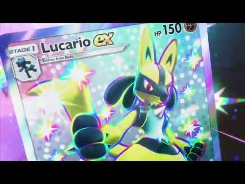 緑のフィールド