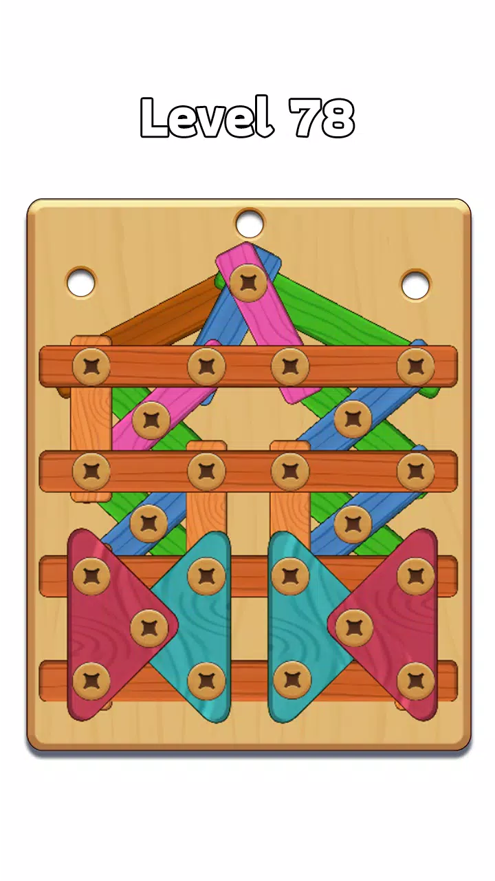 Wood Nuts & Bolt: Screw Puzzle应用截图第2张