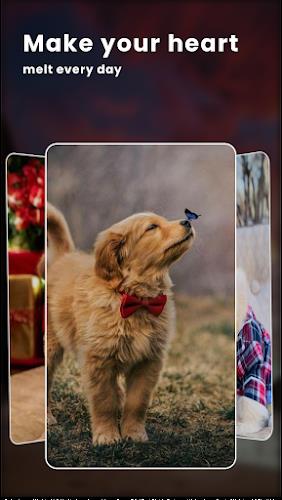 Puppy Love: Cute Dog Wallpaper Zrzut ekranu 2