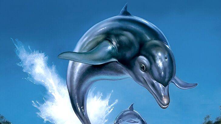 Sega TradeMarks Ecco The Dolphin, разжигая слухи о возвращении серии