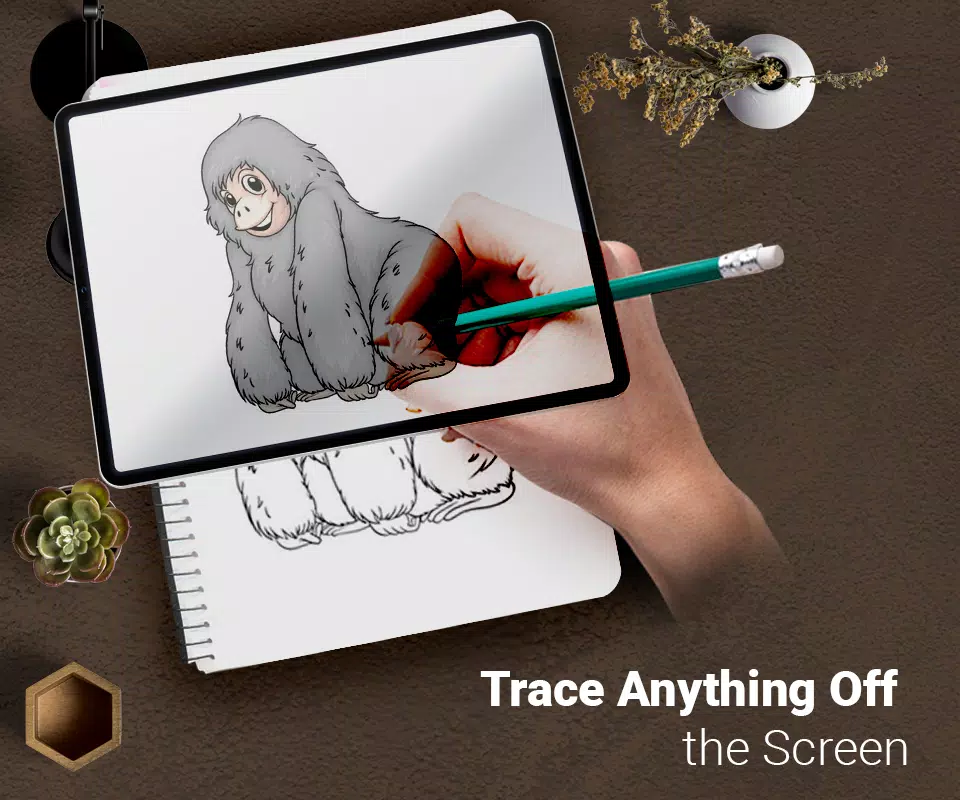 Draw : Trace & Sketch 螢幕截圖 0
