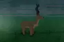 A Deer from Rune Slayer