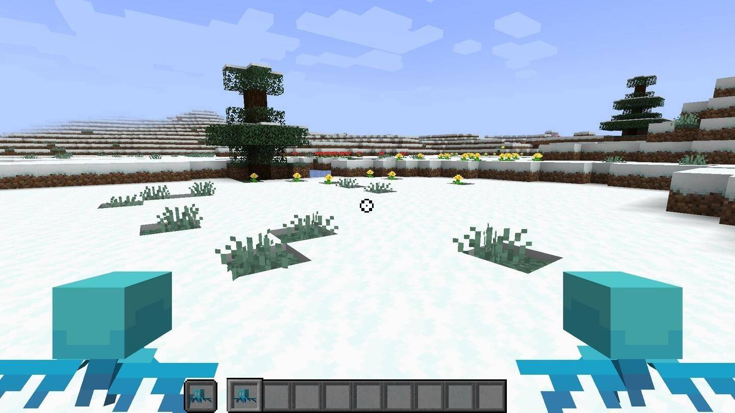 Minecraft Snow Biome種子