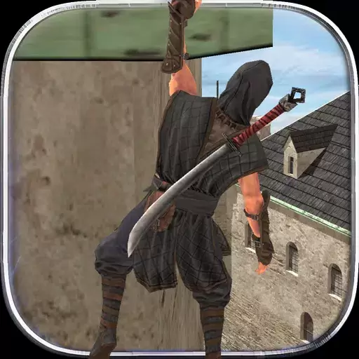 Ninja Samurai Assassin Hero II