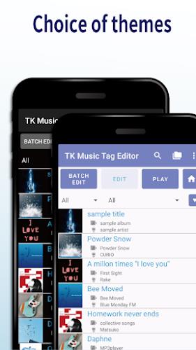 TK Music Tag Editor Ekran Görüntüsü 2