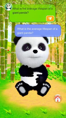 Talking Panda स्क्रीनशॉट 1