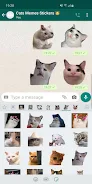 Cat Memes Stickers WASticker স্ক্রিনশট 0