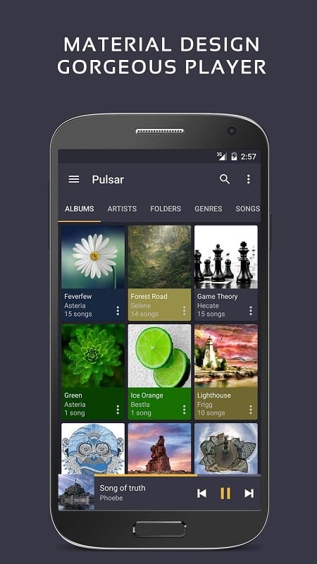 Schermata Pulsar Music Player Pro 0